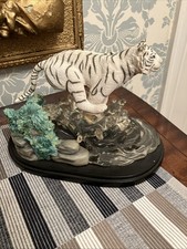 white tiger for sale white tiger for sale WARRINGTON