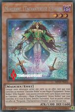 Morganne enchanteresse avalon d'occasion  Argenteuil