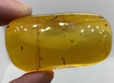 Nice 17.3 gram for sale  Arlington