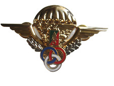 Brevet moniteur parachutistes d'occasion  Saint-Mamert-du-Gard