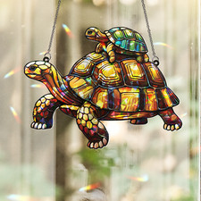 Tortoise family turtle for sale  Corpus Christi