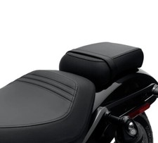 Harley davidson nightster usato  Italia