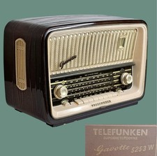 Vintage telefunken gavotte for sale  Jupiter