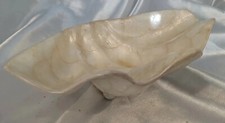 Capiz shell pearled for sale  Scottsdale