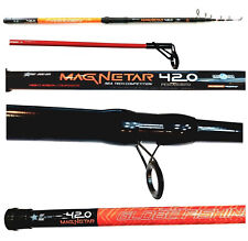 Canna pesca surfcasting usato  Amelia