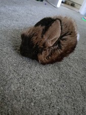 Brown rabbit teddy for sale  ROTHERHAM