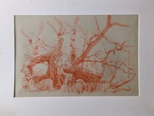Wistman wood dartmoor for sale  GUNNISLAKE