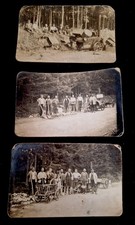 Alte foto postkarten gebraucht kaufen  Marktrodach