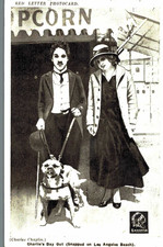 Charlie chaplin riginal gebraucht kaufen  Leipzig