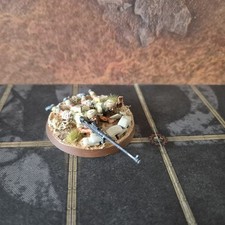 Pro painted anti for sale  SCUNTHORPE