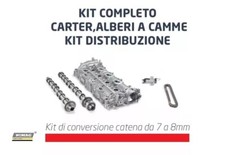 Kit camme catena usato  Casalnuovo di Napoli