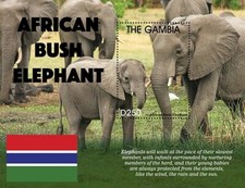 Gâmbia 2021 - Bebês animais elefantes - Folha de selo de lembrança - Scott #3912 - MNH comprar usado  Enviando para Brazil