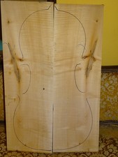 Tonholz tonewood interessanter gebraucht kaufen  Deutschland