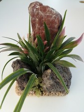 Decoration aquarium roche d'occasion  Paris I