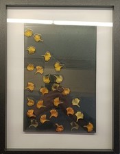 Fallende ginkgo blätter gebraucht kaufen  Offenbach am Main