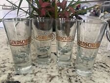 Bicchieri dublino goldschlager for sale  Lakeland