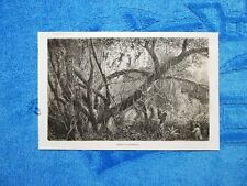 Gravure année 1861 usato  Villarosa