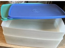 Tupperware gefrierdosen gefrie gebraucht kaufen  Hanau