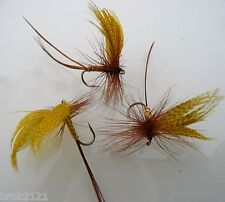 Mouches mai ailée d'occasion  Quetigny
