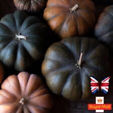 Pumpkin seeds sweet for sale  CHIGWELL