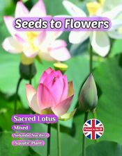 Sacred lotus nelumbo for sale  STOKE-ON-TRENT