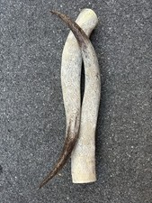 Pair hand carved for sale  Frederick