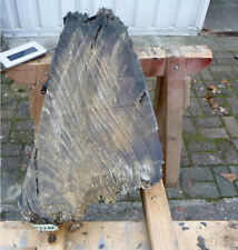 Mooreiche moorholz 2000 gebraucht kaufen  Grasberg