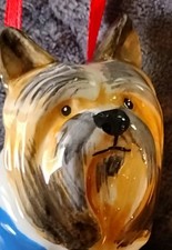 yorky puppy for sale  Smiths Creek