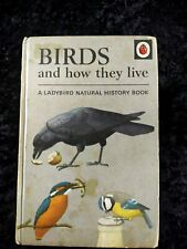 Ladybird birds live for sale  NORTHAMPTON