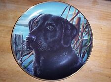 labrador retrievers plate for sale labrador retrievers plate for sale Franksville
