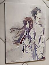 Displate steins gate gebraucht kaufen  Aindling