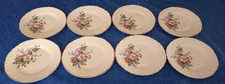 Wild rose china for sale  Lamar