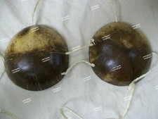 Adult genuine coconut for sale  Oak Hill