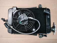 Radiatore honda 300 usato  Roma