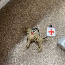 Fuzzy nation labrador for sale  BURY ST. EDMUNDS