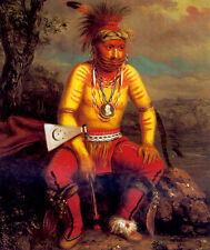 Fox chief mesquakie for sale  Cambria