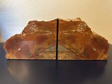 Large heavy polished for sale  Ocoee