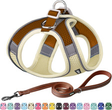 Pettorina anti tiro usato Pettorina anti tiro usato  Roma