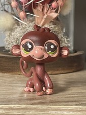 Petshop monkey spider d'occasion  Expédié en Belgium