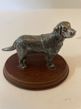 Labrador golden retriever for sale  NORTH SHIELDS