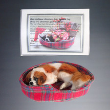 miniature saint bernard for sale  Tinley Park