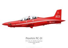 Print pilatus 101 usato  Spedire a Italy