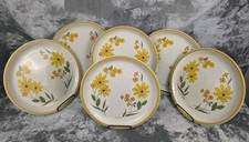 Vintage stoneware dinner for sale  Big Lake