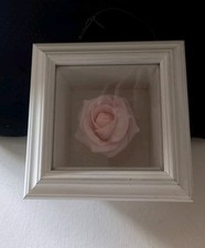 Vintage art roses for sale  PORTSMOUTH