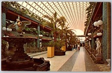 Postcard kapok tree d'occasion  Expédié en Belgium