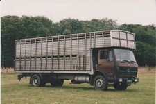 livestock containers for sale livestock containers for sale EGHAM