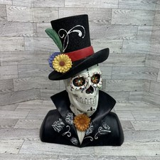 Skull bust head for sale  Naperville
