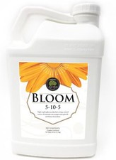 Age old bloom for sale  Newark
