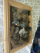 Model diorama pak for sale  THURSO