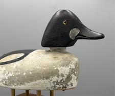 Rare beany anderson for sale  Franklin